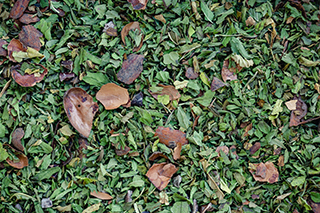 After-Eat-2.jpg