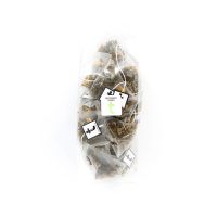 REFRESHER GREEN - Image 10